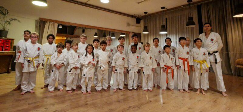 Toshinkai Lyon. Tous les enfants (cours débutant et avancé).